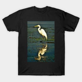 Guatemala - Lago Atitlan, Oiseau T-Shirt